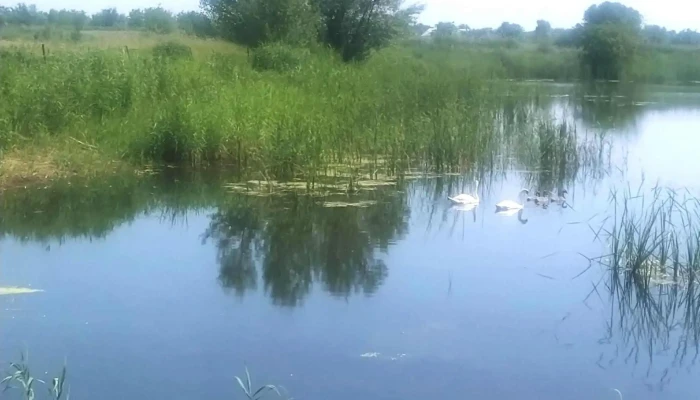 Ferma Piscicola Cornesti -  Locație - Cornesti