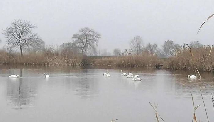 Ferma Piscicola Cornesti -  Zonă - Cornesti
