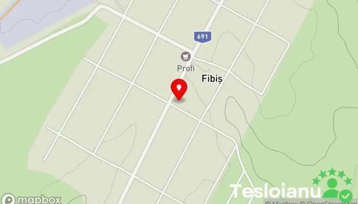 hartă a Fibiș  în Fibiș