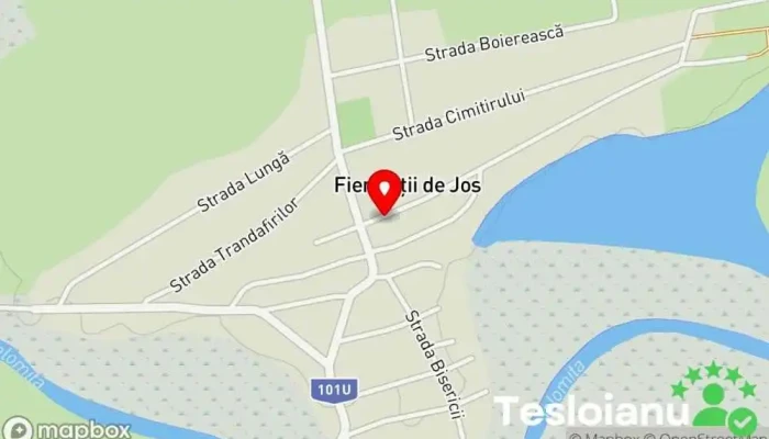 hartă a Fierbinții de Jos  în Fierbinții de Jos