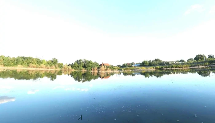 Fierbintii De Sus Street View Si 360deg - Fierbinții De Jos