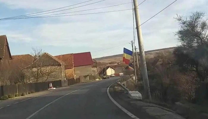 Fiser Videoclipuri - Fișer