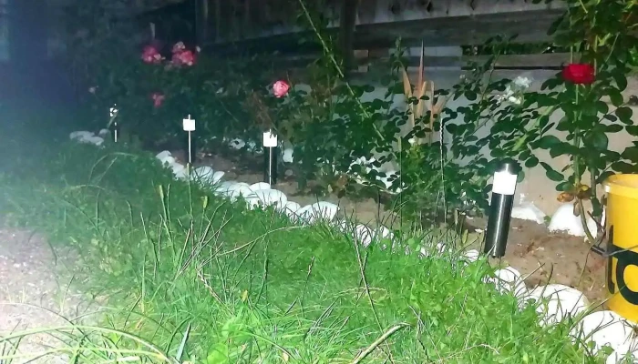 Fitcau Unde - Fiţcău