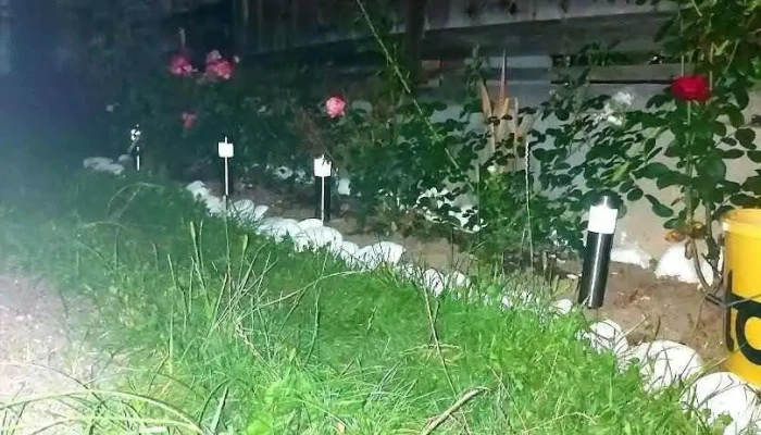 Fiţcău - Fiţcău