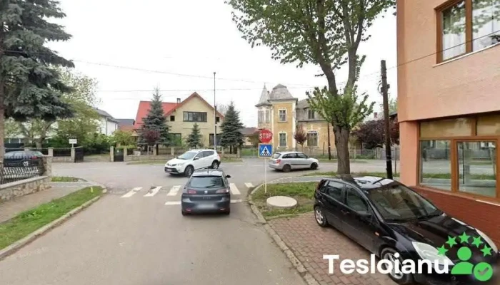 Floraria la lac - Rădăuți