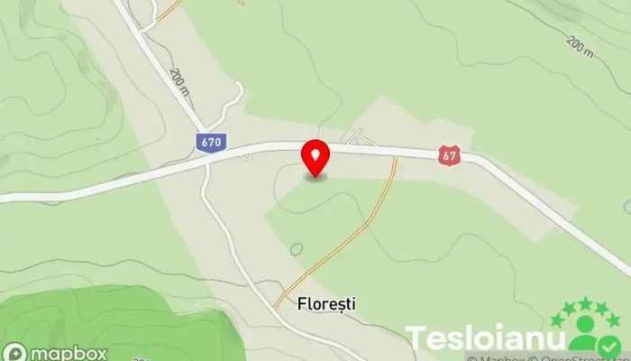 hartă a Florești  în Florești
