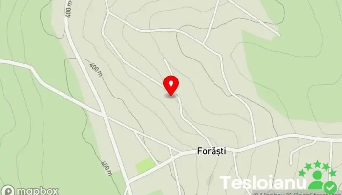 hartă a Forăști  în Forăști