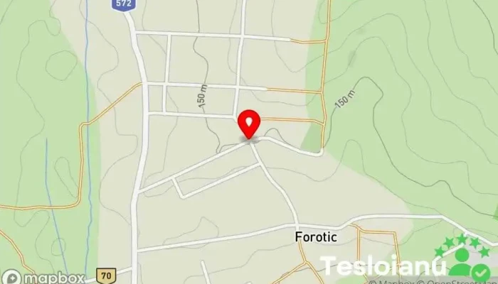 hartă a Forotic  în Forotic