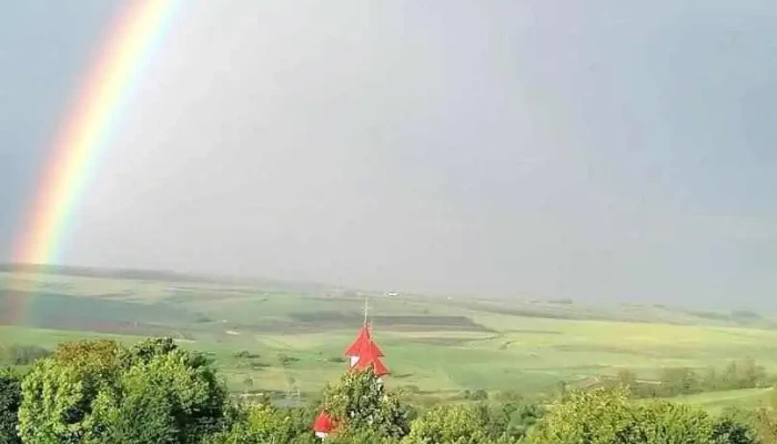 Forăști - Forăști