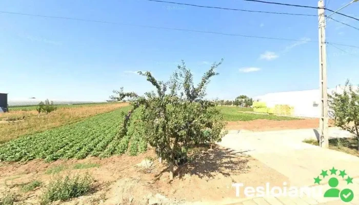 Fratii Barza Srl - Băleni-Sârbi 137011