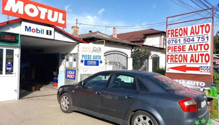 Freon Alexandria Mobil Serv Srl - Alexandria 140009