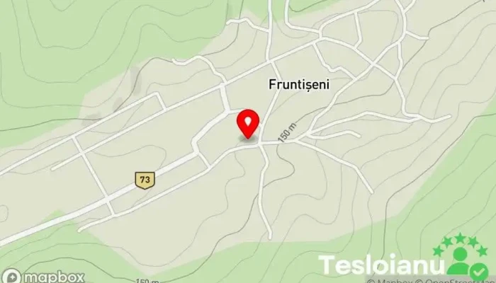hartă a Fruntișeni  în Fruntișeni