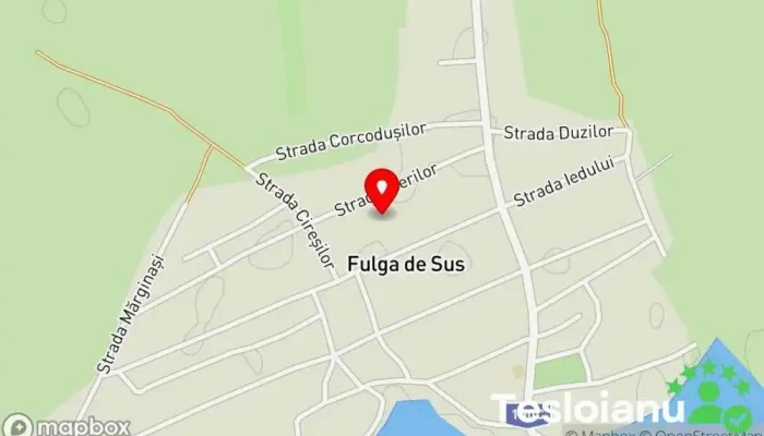 Fulga de Sus - Fulga De Sus