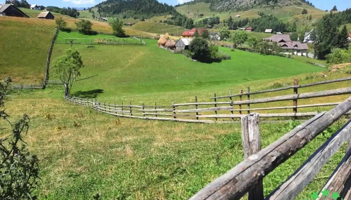 Fundatica Munte - Fundățica