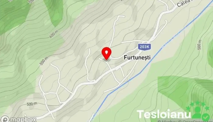hartă a Furtunești  în Furtunești
