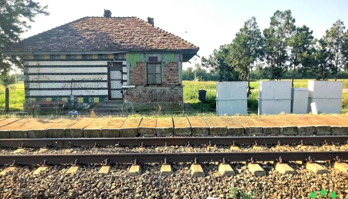 Gaiseanca Unde - Surdila-găiseanca