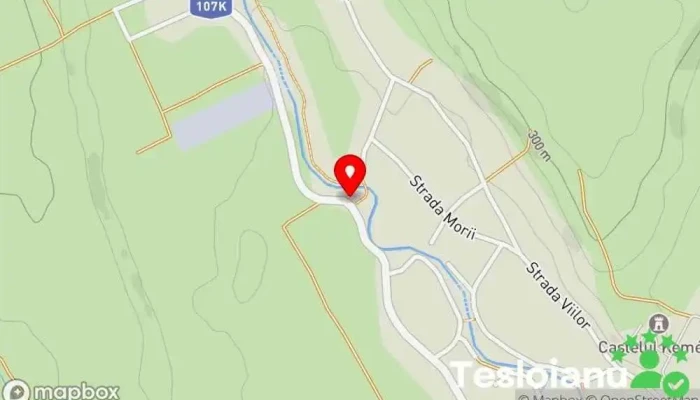 hartă a Galda de Jos 4T Stație de autobuz în Galda de Jos