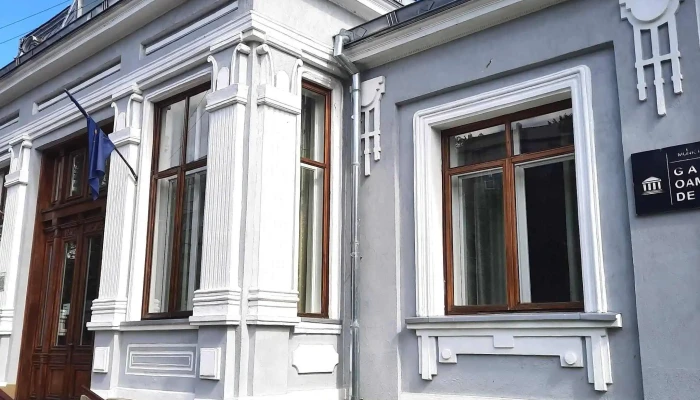 Galeria Oamenilor De Seama Din Falticeni Fălticeni - Fălticeni
