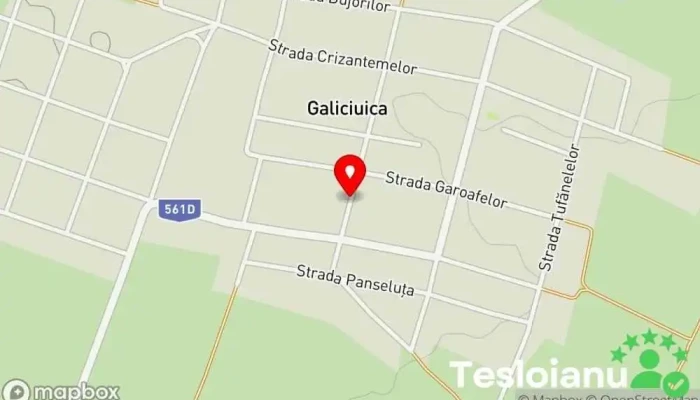 hartă a Galiciuica  în Galiciuica