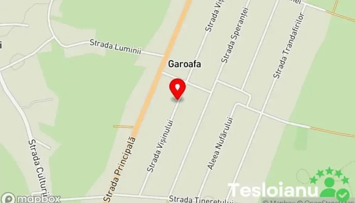 hartă a Garoafa  în Garoafa