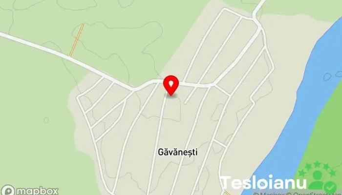 hartă a Găvăneşti  în Găvăneşti