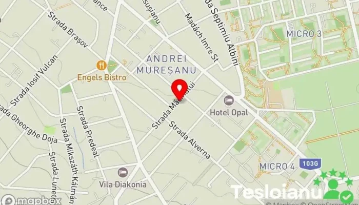 hartă a Gerda Security Cluj Lăcătuș în Cluj-Napoca