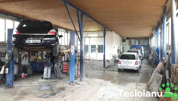 Gevisil - Șelimbăr 557260