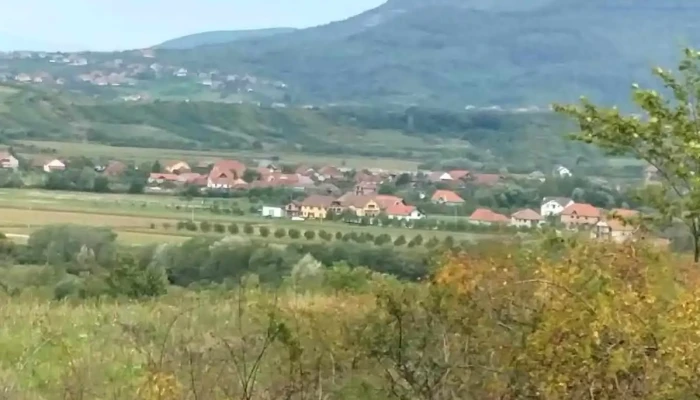 Gherta Mica Munte - Gherța Mică