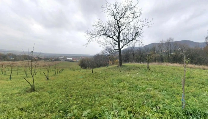 Gherta Mica Street View Si 360deg - Gherța Mică