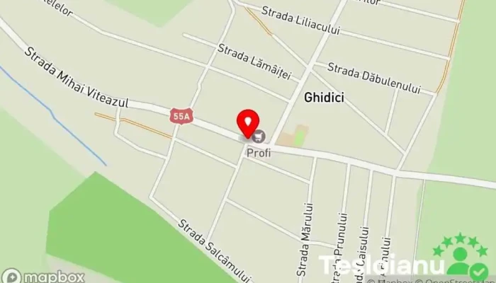 hartă a Ghidici  în Ghidici