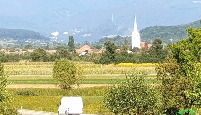 Ghindari - Ghindari