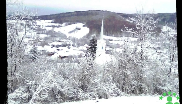 Ghinești - Ghinești