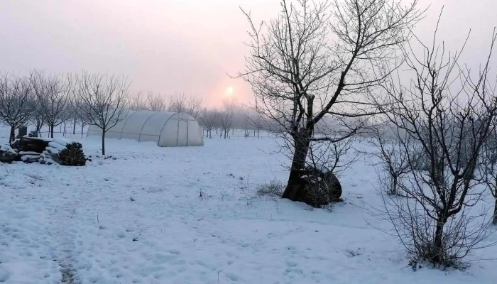 Giulvaz Videoclipuri - Giulvăz