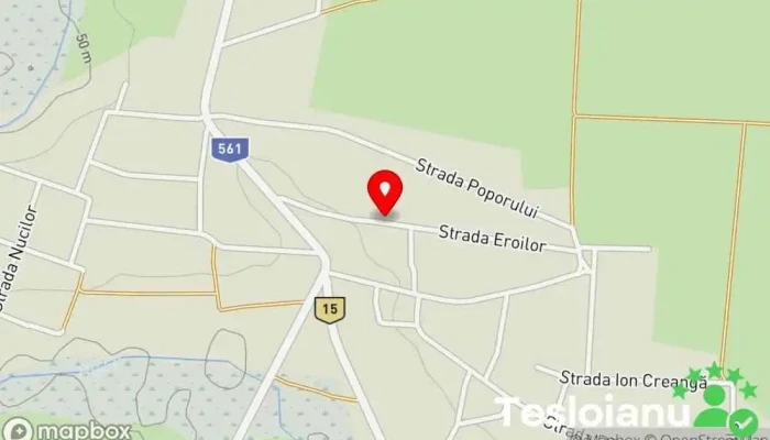 hartă a Giurgița  în Giurgița