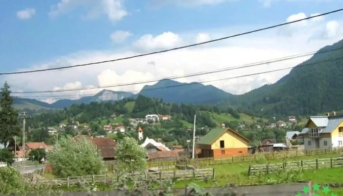 Glod -  Munte - Glod
