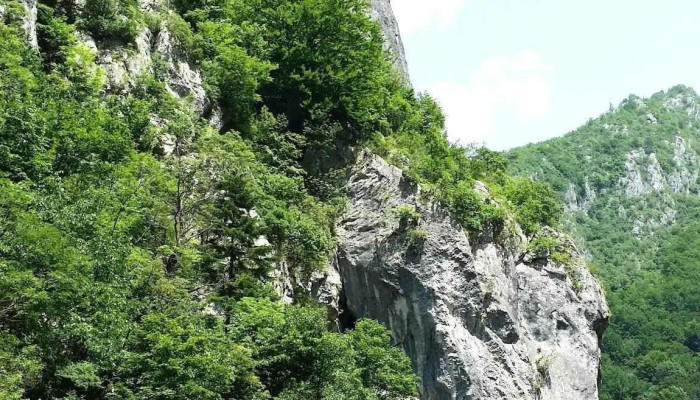 Godeanu -  Prețuri - Godeanu