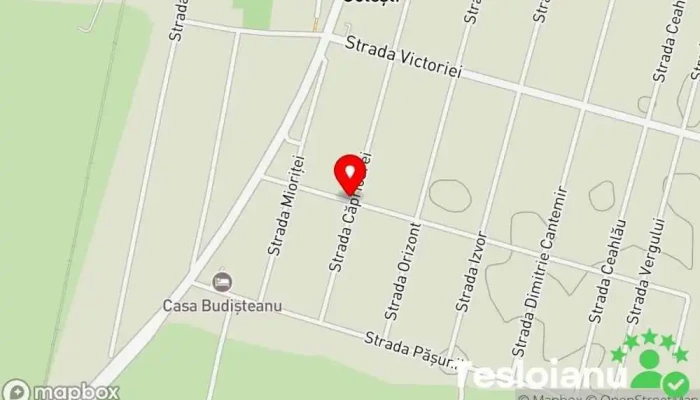 hartă a Golești  în Golești