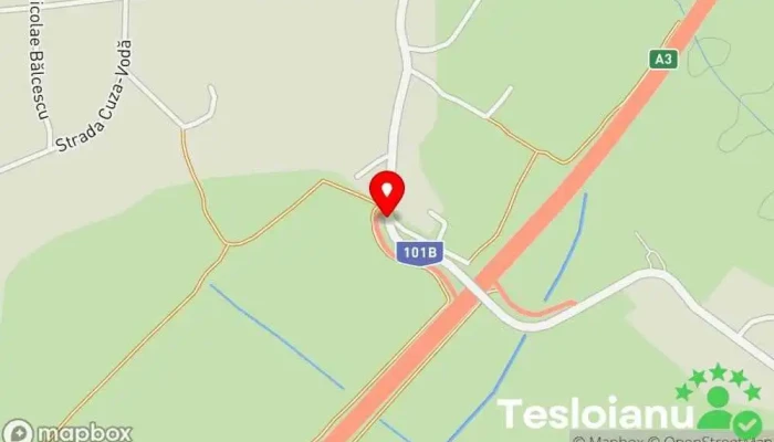 hartă a Gruiu Stație de autobuz în Gruiu