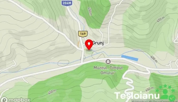 hartă a Grunjul de la Mânzălești Rezervație naturală, Atracție turistică în Mânzălești