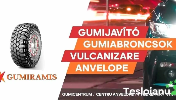 Gumiramis S.r.l. - Gheorgheni 535500