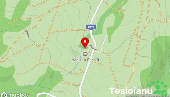 hartă a Hanu Lu Cobâlă Restaurant în Budești