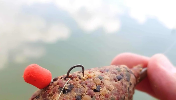 Hanul Pescarilor Garofita Aproape De Mine - Sâncraiu De Mureș
