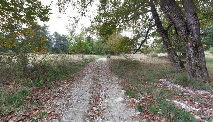 Hateg Street View Si 360deg - Hațeg