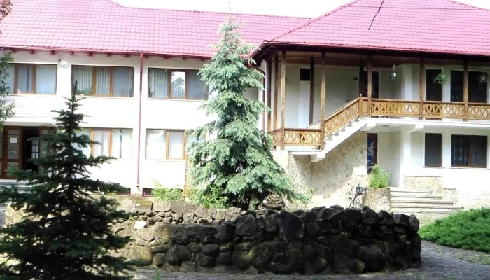 Herghelia De Armasari Dumbrava Zonă - Timișești