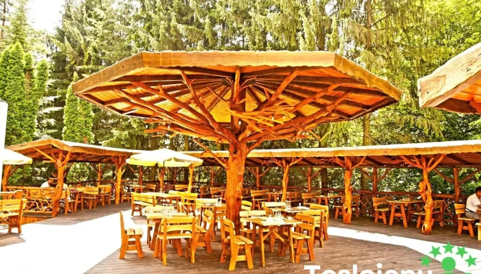 Hotel Alunis Restaurant - Sovata