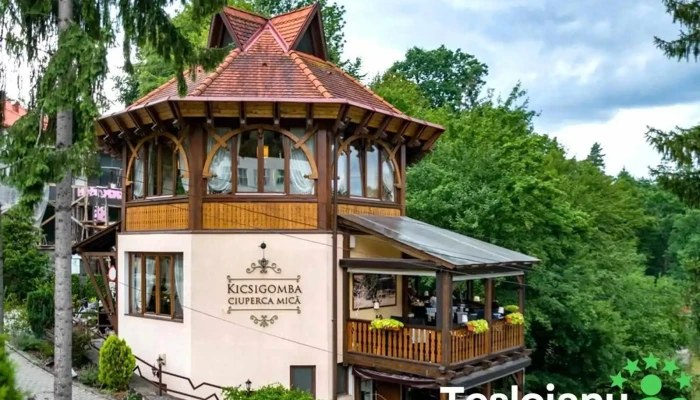 Hotel Lacul Ursu -  De La Vizitatori - Sovata