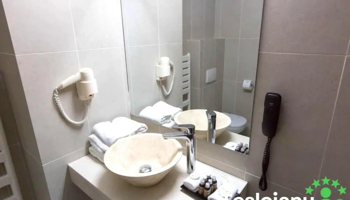 Hotel Mcpietroasa De La Proprietar - Haleş