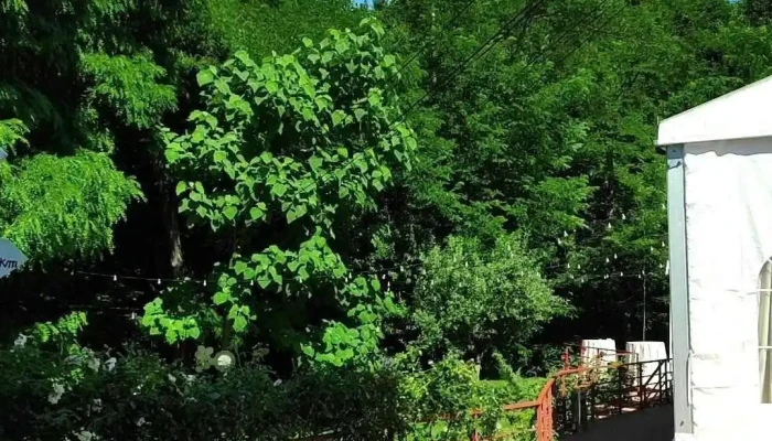 Hotel Mcpietroasa Exterior - Haleş