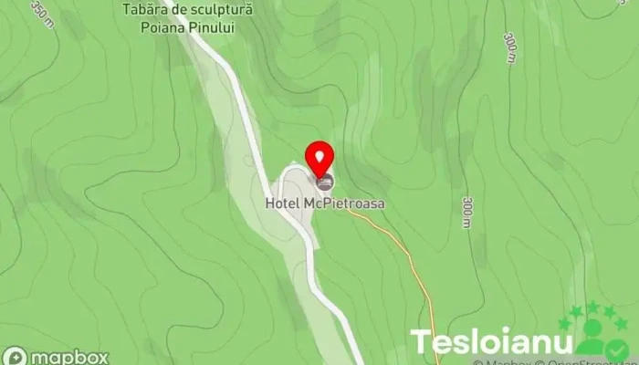 hartă a Hotel McPietroasa Hotel în Haleş