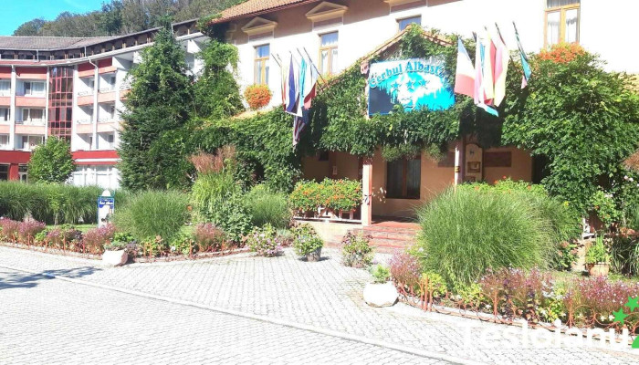 Hotel Panoramic - Moneasa